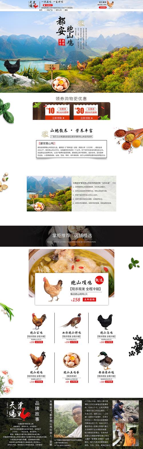 家禽设计